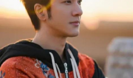 吃瓜明星爆料狼王是谁,吃瓜明星曝料，狼王身份成谜引热议